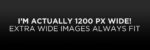 image-alignment-1200×400