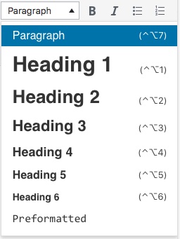 image of WordPress paragraph menu
