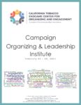 Campaign Organizing and Institute Feb 2021 Summary and Presentations