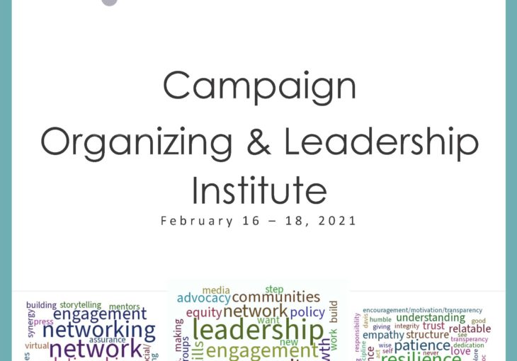 Campaign Organizing and Institute Feb 2021 Summary and Presentations