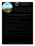 I&E Virtual Day of Action 2021 Environmental Fact Sheet (April 2021)