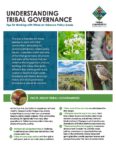 Understanding Tribal Governance