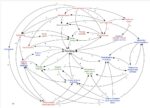 Causal Loop Diagram of Smoking (003)
