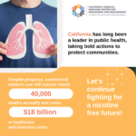 Nicotine Future
